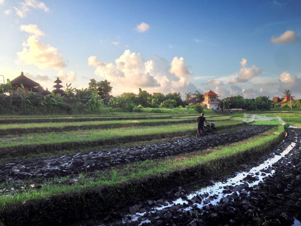 Oasis Canggu  Ngoại thất bức ảnh