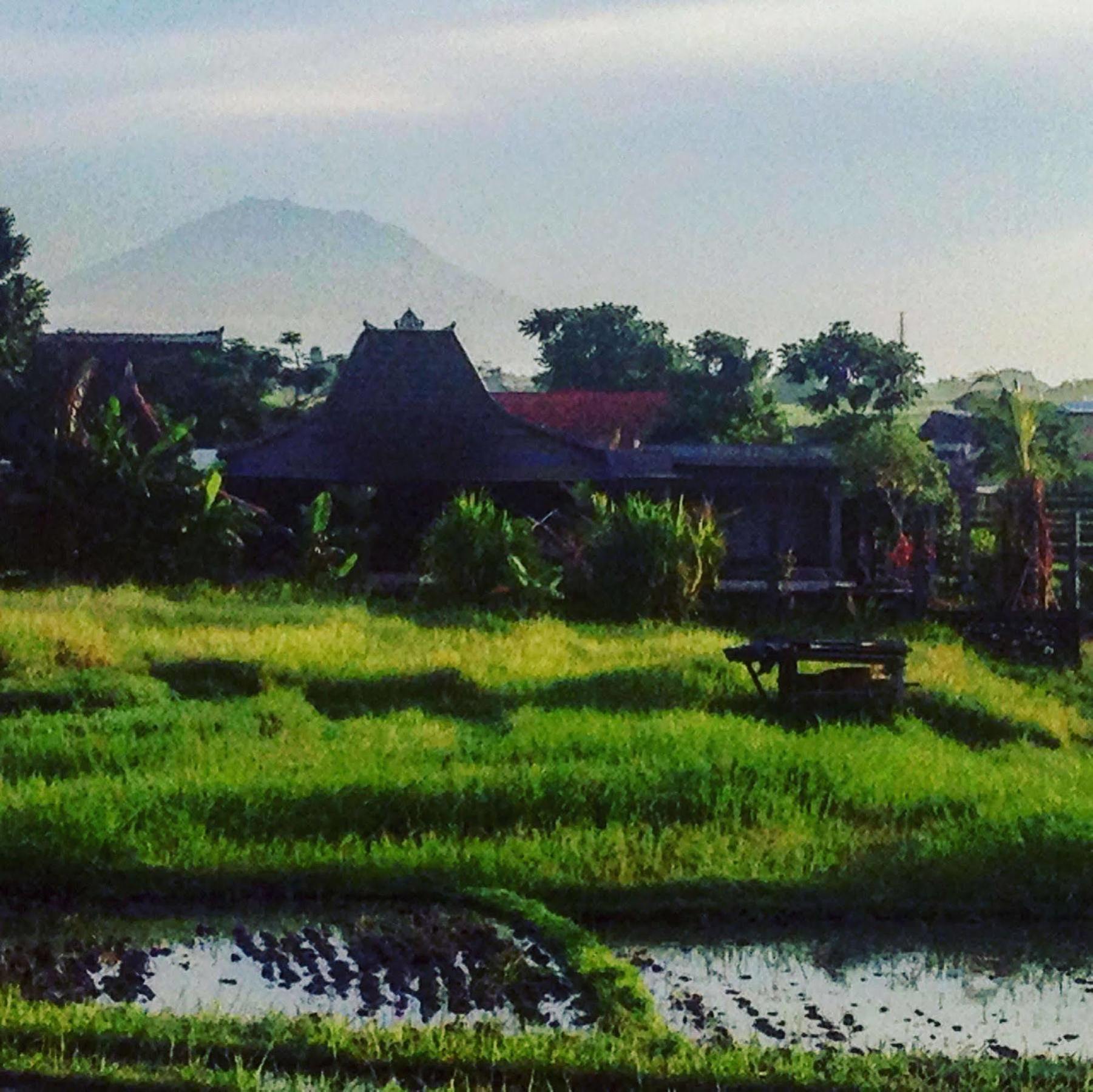 Oasis Canggu  Ngoại thất bức ảnh